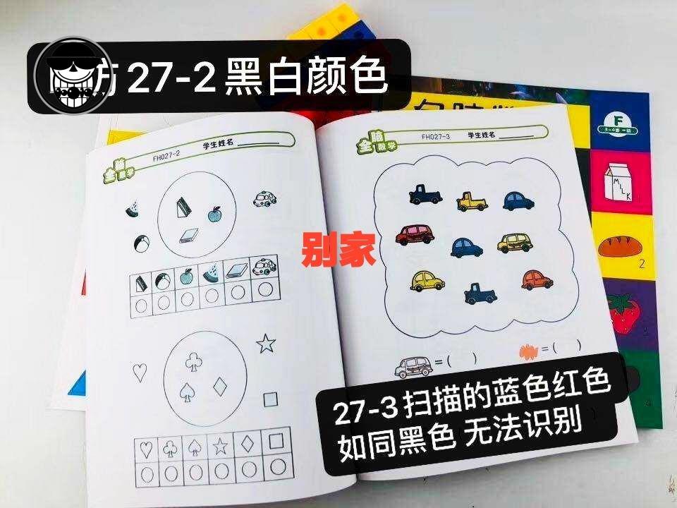 圣诞节礼物斯奎尔全脑数学儿童思维训练积木教具斯奎尔全脑数学卡片