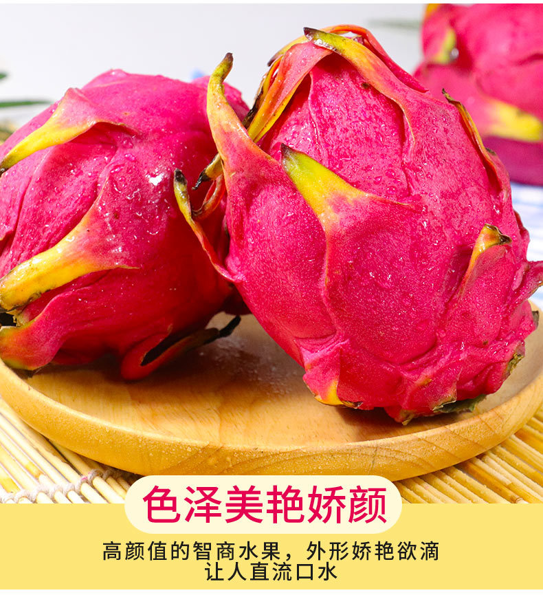 广西红心火龙果金都一号批发当季新鲜水果红肉火龙果5
