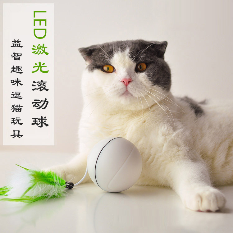 电动逗猫神器自动猫咪滚动球玩具usb充电抖音网红同款自嗨激光羽毛