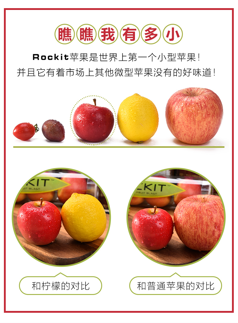 【顺丰/严选】新西兰进口rockit试管苹果2/3/4筒装 美国火箭筒小苹果