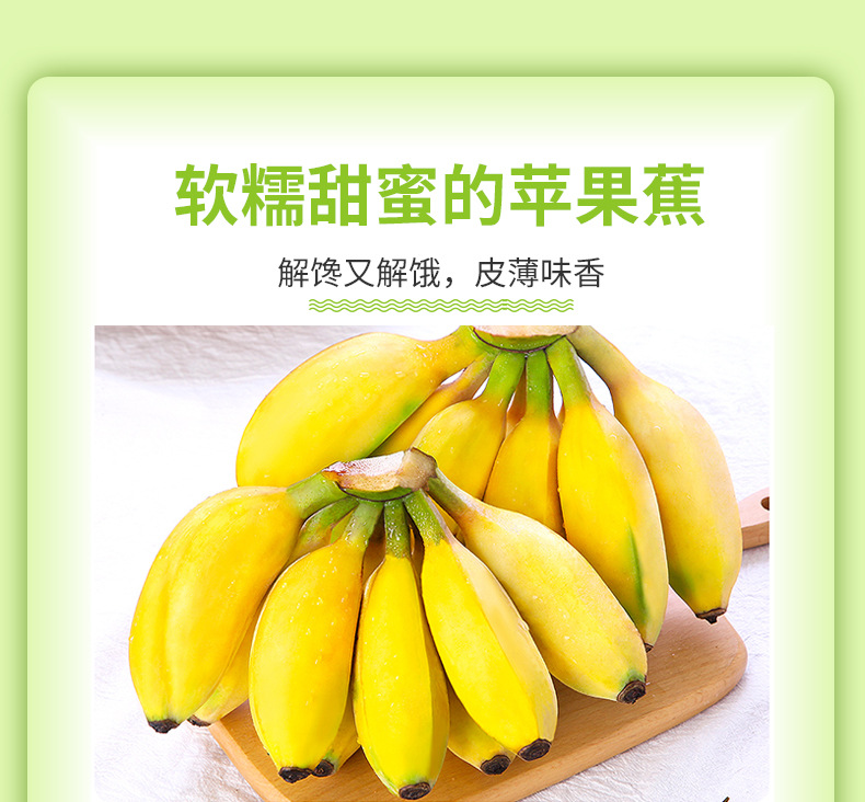 广西新鲜蕉 5斤当季热带小芭蕉甜香蕉时令孕妇水果粉苹果蕉 3斤净重