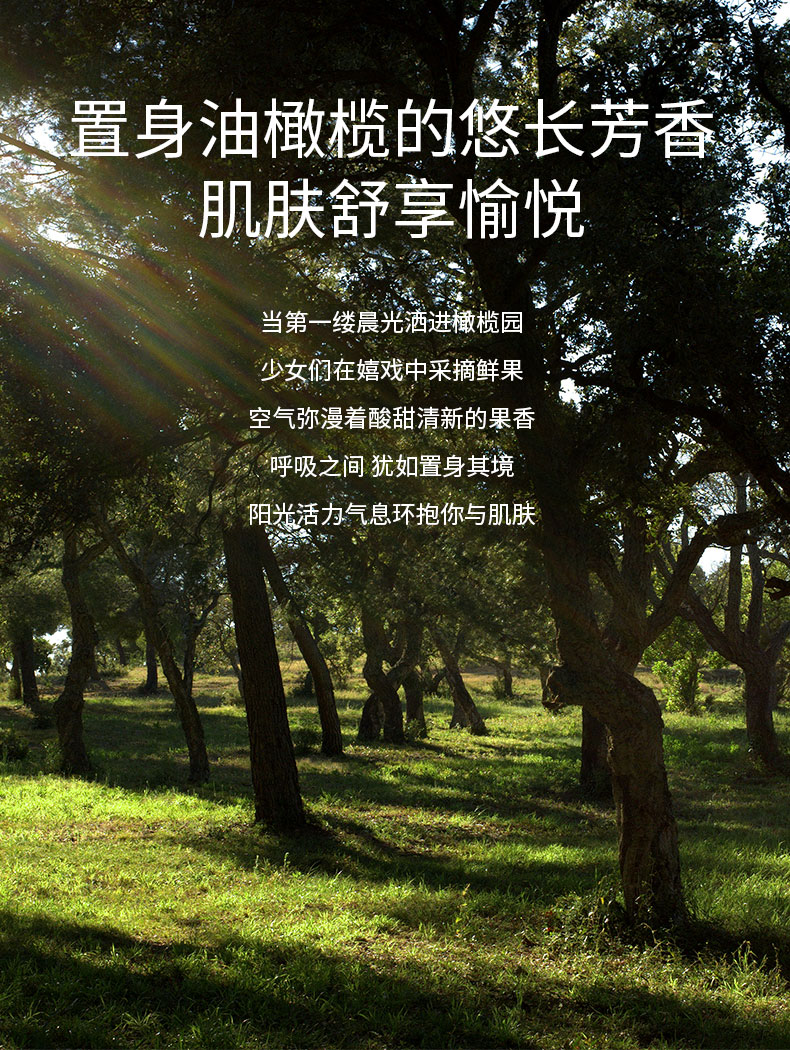 溪木源油橄榄舒润焕活面膜植物精华舒缓脆弱肌补水保湿面膜女男护肤品 1片