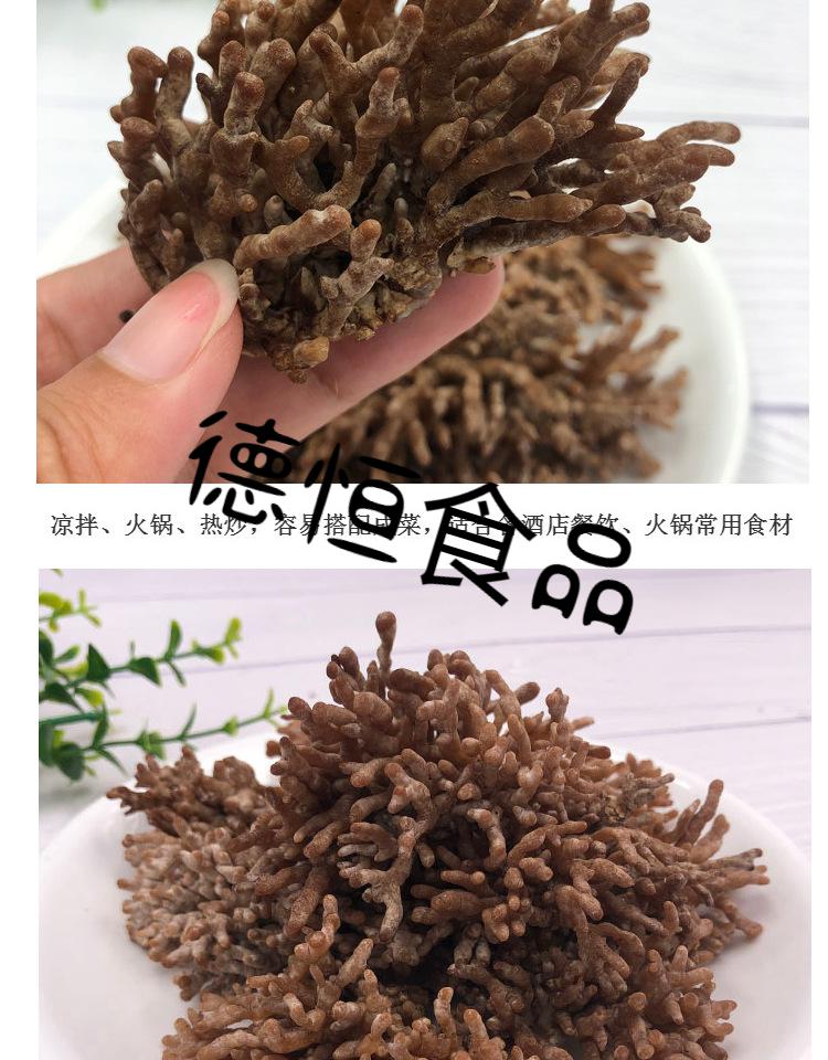 福建武夷山特产龙爪菇新鲜猫爪菇菇老鼠爪500g酒店特色食材