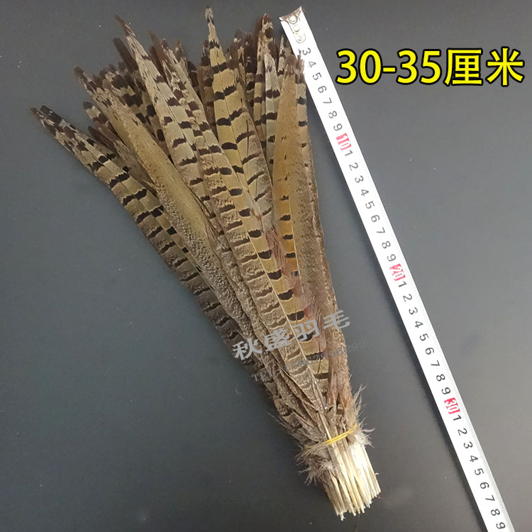 采缇diy天然野山鸡毛野鸡羽毛逗猫棒野鸡尾毛京戏翎子山鸡尾 50-55