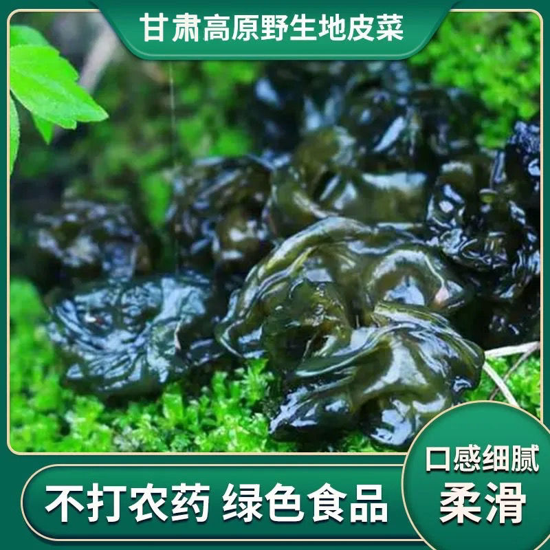 甘肃深山地达菜纯净新鲜地衣地软地木耳地皮菜50g土特产200g超值装