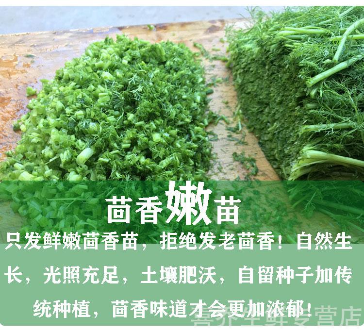 顺丰山东新鲜茴香菜小茴香苗回香菜荤香回香蔬菜荤香馅包饺子农家蔬菜