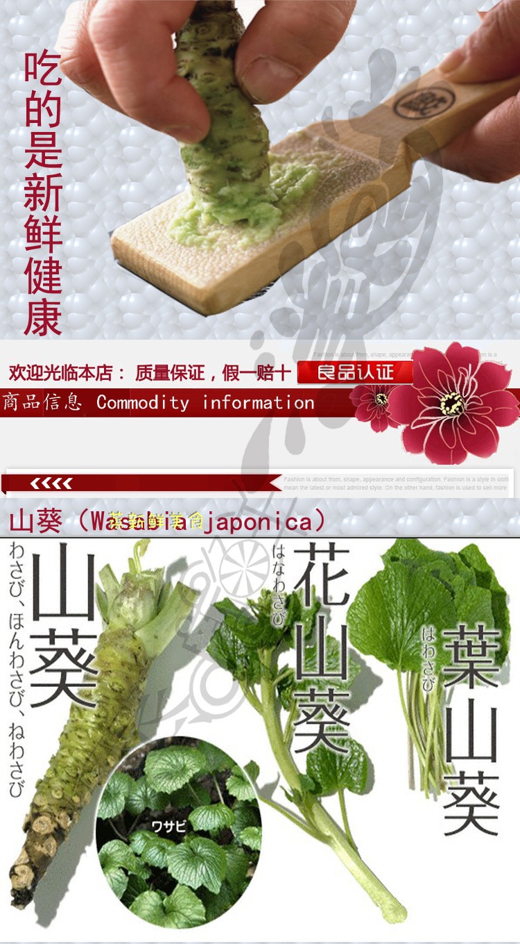 云南新鲜山葵100g 待磨鲜芥末辣根真空包装寿司芥末wasabi 100g