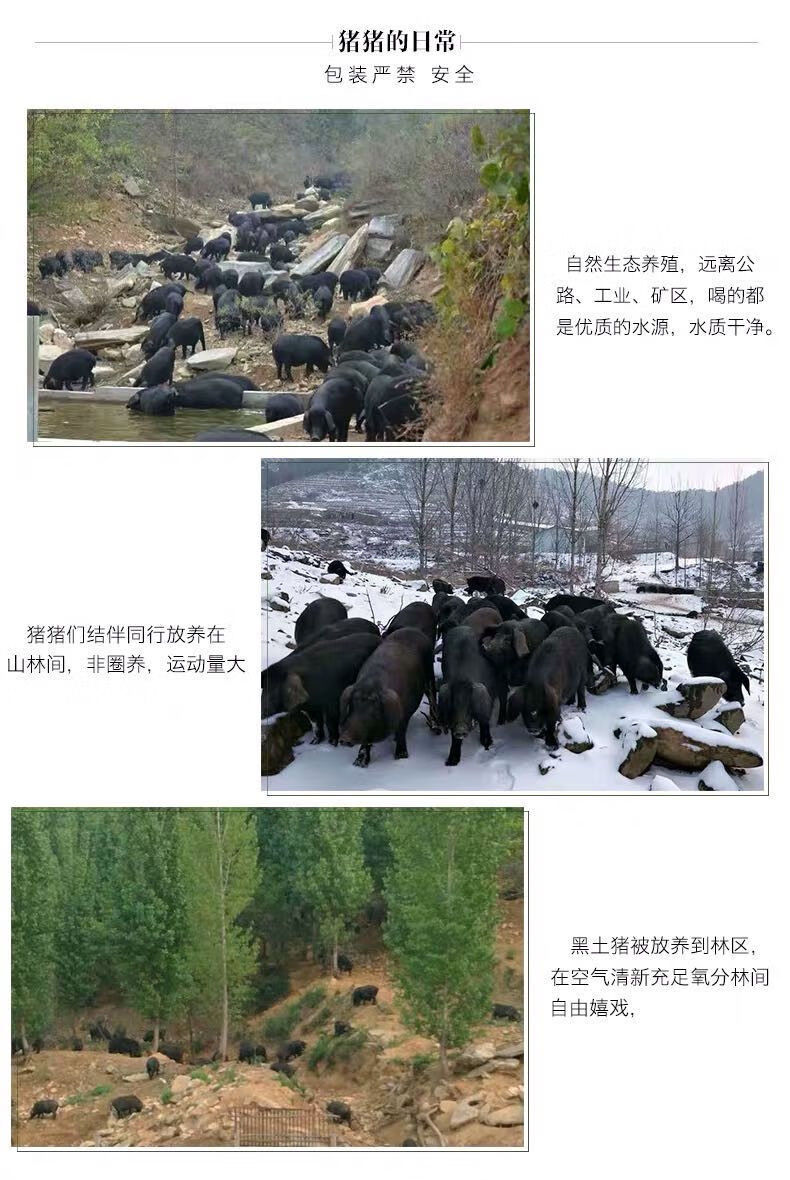 农家黑土猪现杀前后腿五花肉小排纯直排肋排前后腿肉五花肉4斤