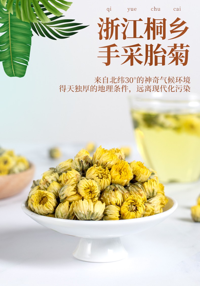 菊花茶胎菊旗舰店杭白菊菊花干茶叶花茶金银花 胎菊 金银花 枸杞【共3