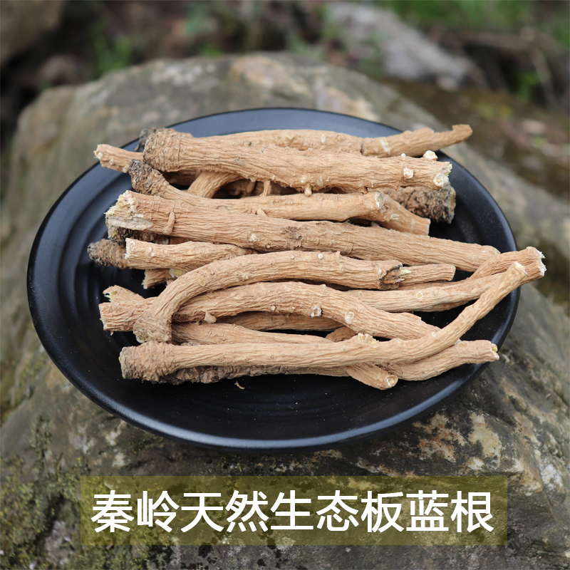 同仁堂板蓝根500g 中药材板蓝根 植物板兰根 天然无硫