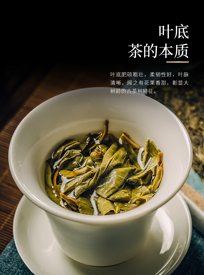 普润心堂 茶叶 云南普洱茶生茶茶叶冰岛甜古树黄金叶250g砖 大风歌