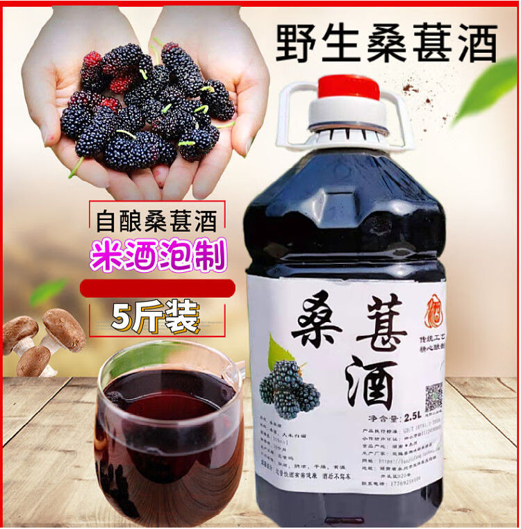 桑葚酒养生酒红酒饮料网红高颜值酒水少女水果酒低度甜酒女士5斤装20