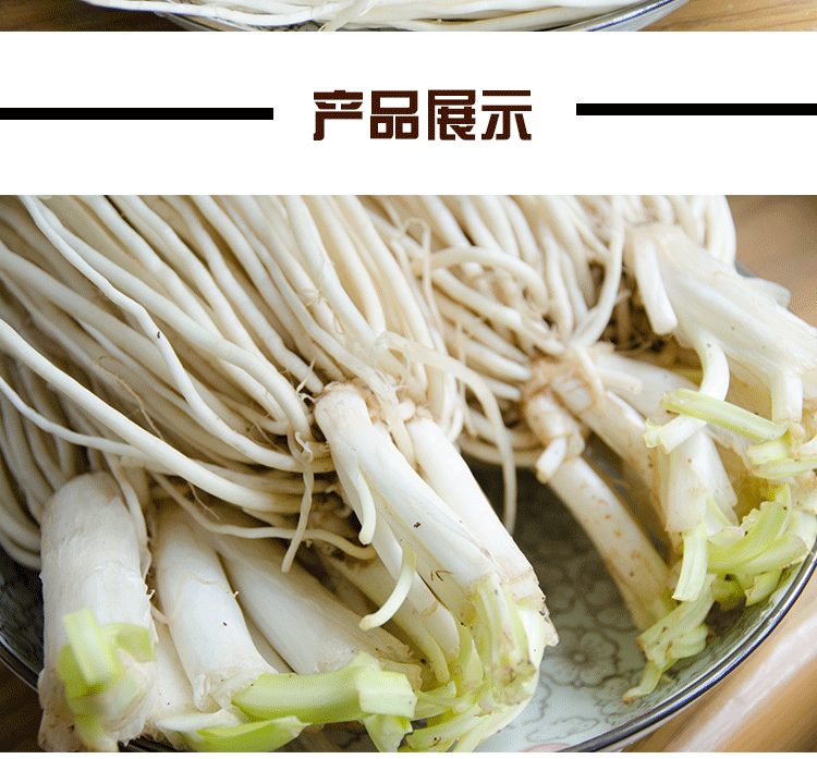 云南新鲜苤菜根撇菜根大韭菜根野菜1500g