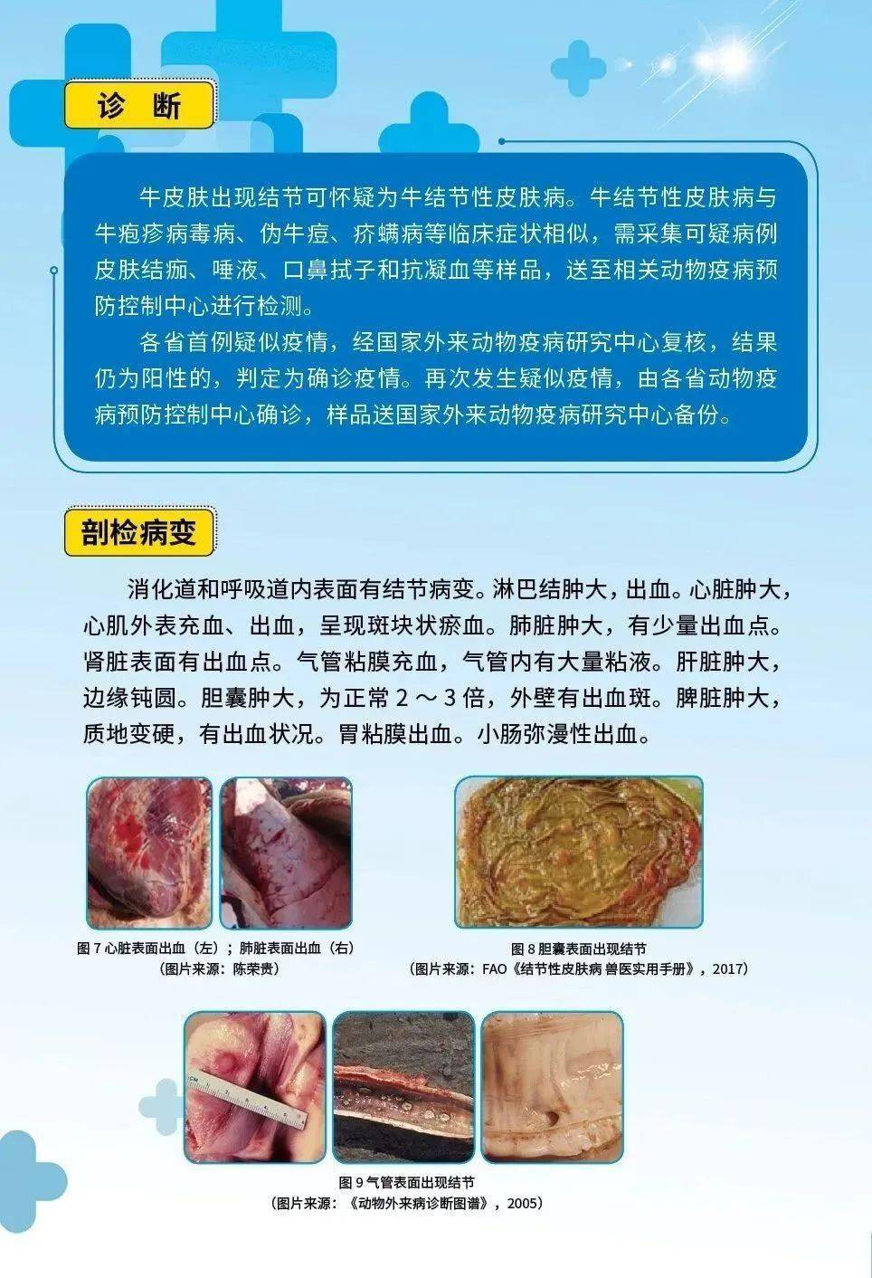 牛益清3型 急救康病兽药抗病毒血清起疙瘩牛结节病药牛痘牛全身长疙瘩