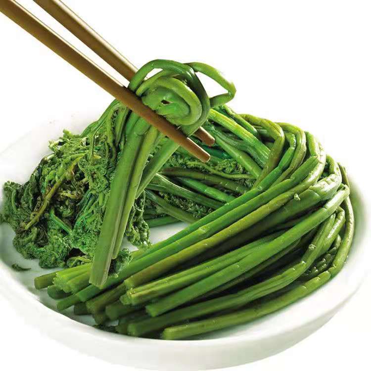 蕨菜东北特产长白山蕨菜水蕨菜新鲜绿色山野菜保鲜菜下饭菜包批发蕨菜