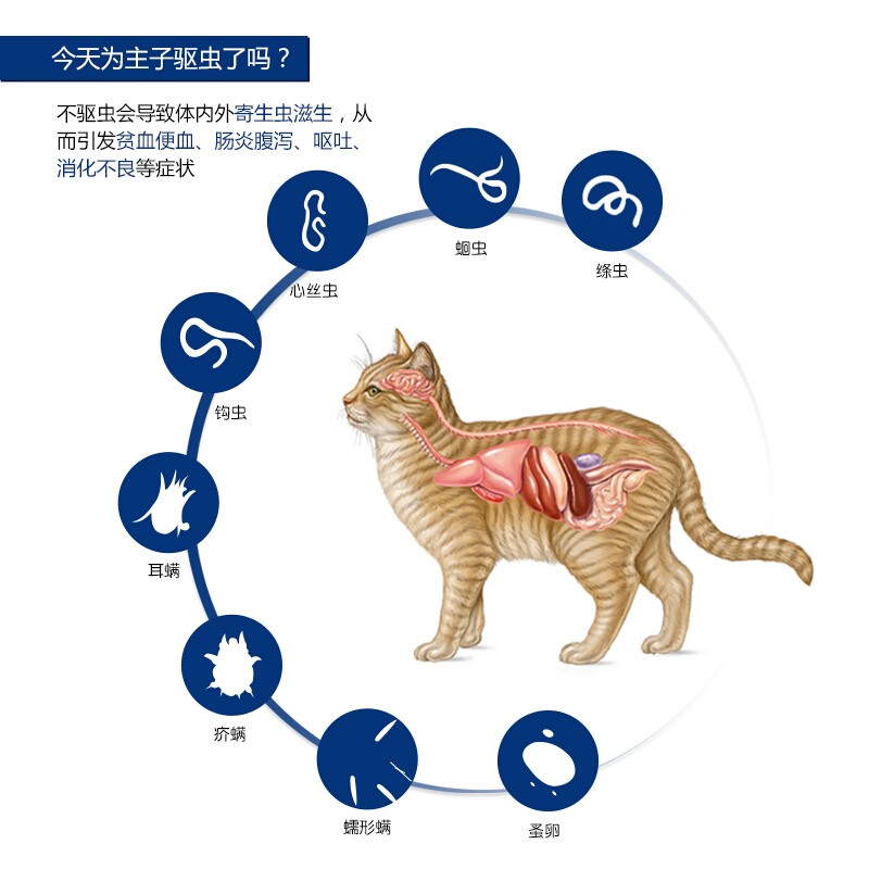 海乐妙驱虫米尔贝肟猫咪体内驱虫药耳螨体外螨虫蛔虫绦虫成猫幼海乐妙