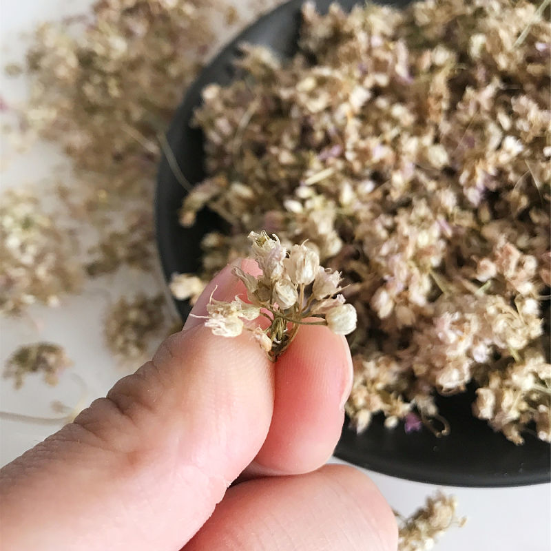 野山葱花 野山葱花麻麻花干野韭菜花摘麻花干扎蒙花饭店调料炝锅 500