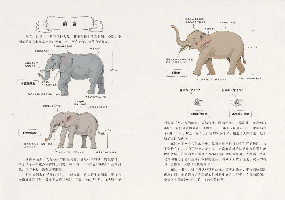 小象日记首部以小象视角创作的日记体科普读物
