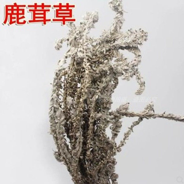 中药材 鹿茸草 六月霜 千年艾 千重塔 白龙骨 白地蜈蚣新货 100克