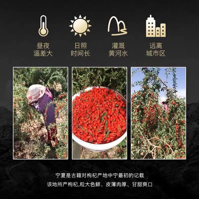 正宗宁夏枸杞子精选特级红枸杞罐装批发袋装泡酒泡茶批发枸杞子沁溪 高品质宁夏枸杞500克发2罐