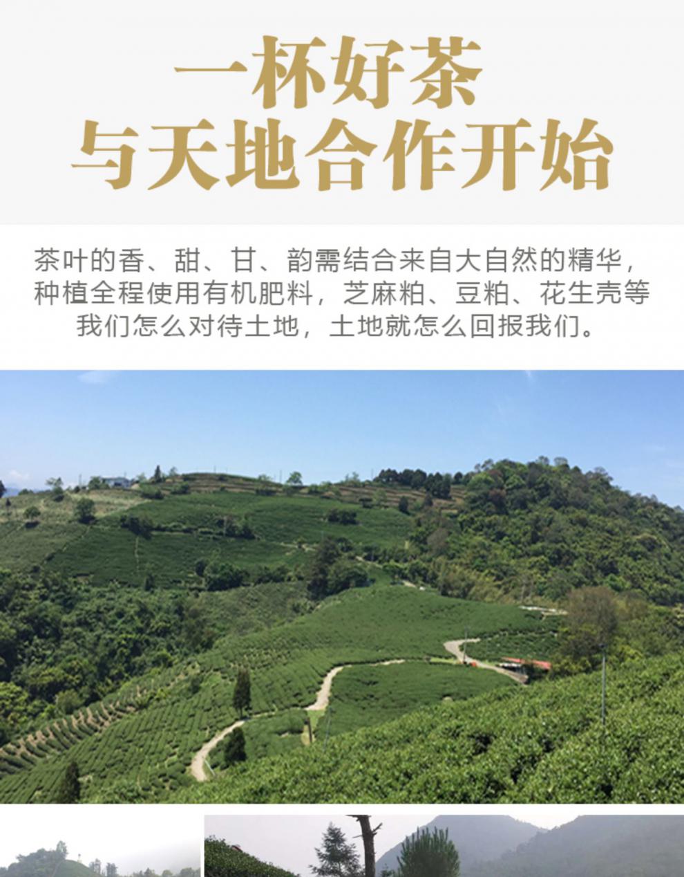 5 折大禹岭茶高冷茶清果香高山茶冬茶上市 300克 乌龙茶促销 清香型