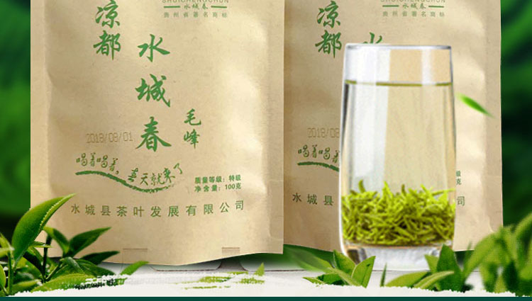 5折凉都水城春毛峰水城春茶贵州六盘水20春季新茶绿茶富硒高山毛峰