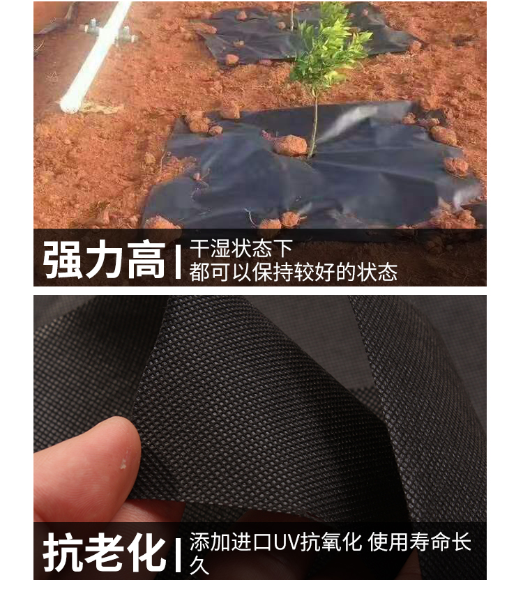 防草地膜生态防草布农用果园果树除草布地膜透气透水可降解单张片装23