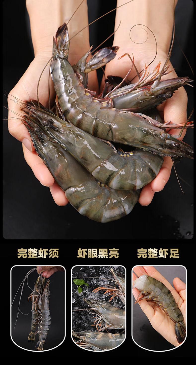 虎虾鲜活冷冻超大虎虾特大青岛大虾冻虾水产鲜活黑虎虾斑节虾买一盒二