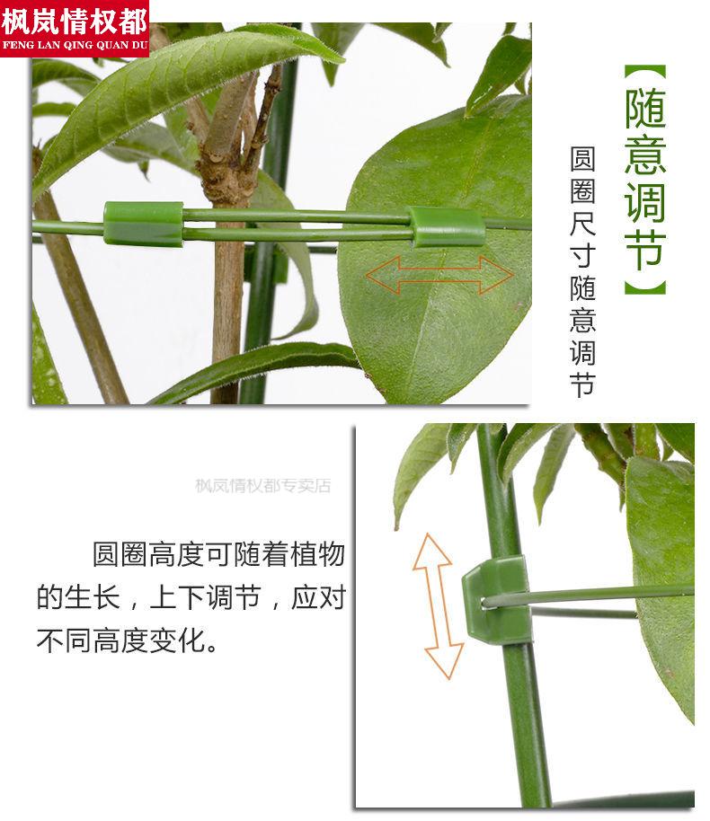 绿萝固定器固定扣无痕攀爬爬藤花架子阳台花卉固定支架绿萝月季铁线莲