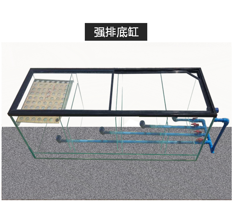 海缸海鱼专用鱼缸底滤水族箱底滤缸底滤槽过滤缸尺寸定制三格t字海缸