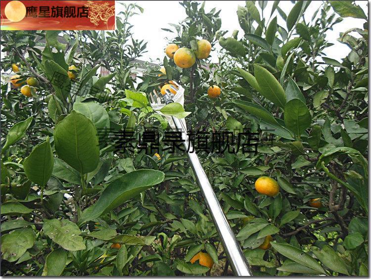 适用适用于摘山枣神器家用工具摘酸枣神器家用酸枣采摘器多功能摘野