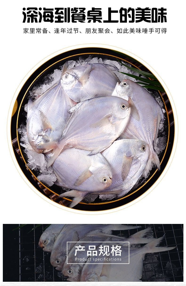 银鲳鱼新鲜白鲳鱼平鱼舟山冷冻鲳鱼海鲜水产 罗菲迪新 4斤装 每斤4条