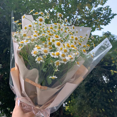 七夕恋圣诞节上海小雏菊洋甘菊混搭玫瑰桔梗花束鲜花速递同城北京生日