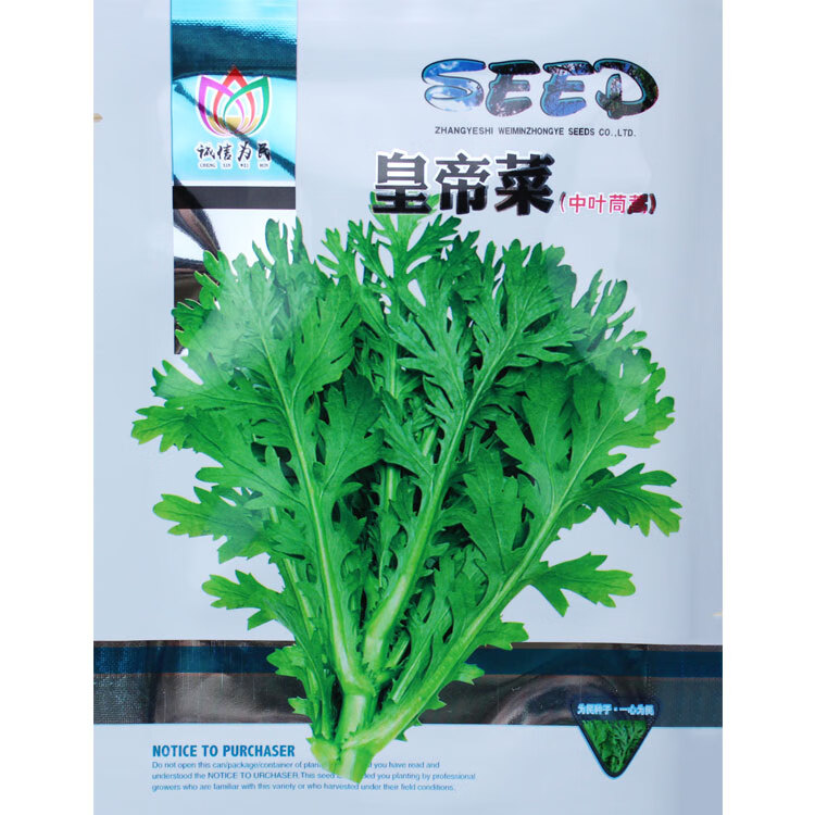 中叶茼蒿种子种籽菜种孑农家四季南方阳台盆栽蔬菜青菜菜籽籽种皇帝菜