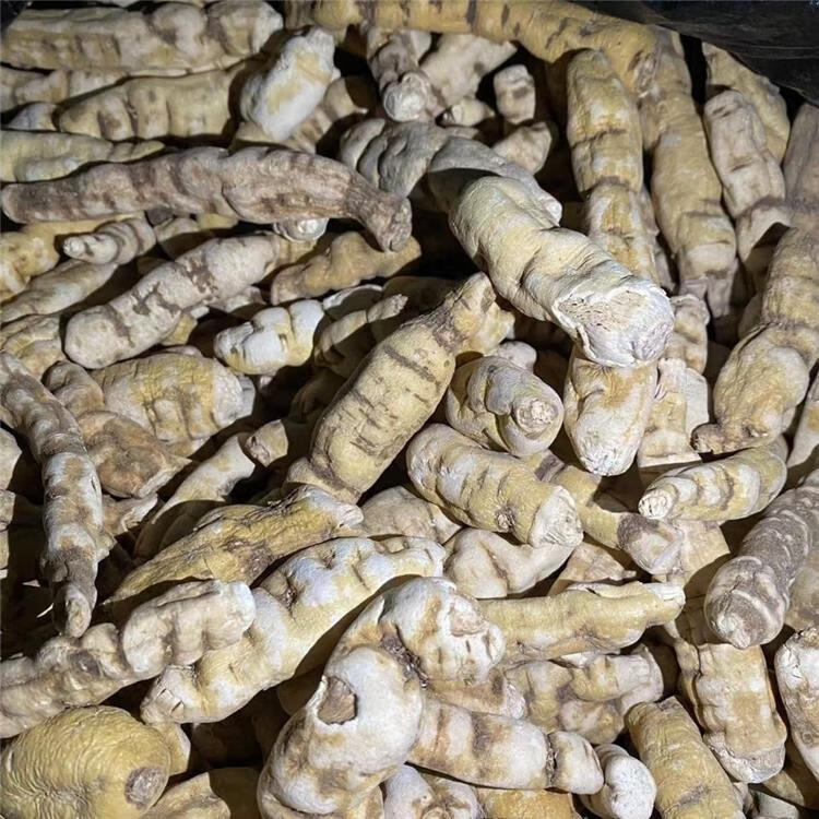 【回春草】龙鞭参 不老草硬的快云南野生 泡茶泡酒料配起阳草 250克
