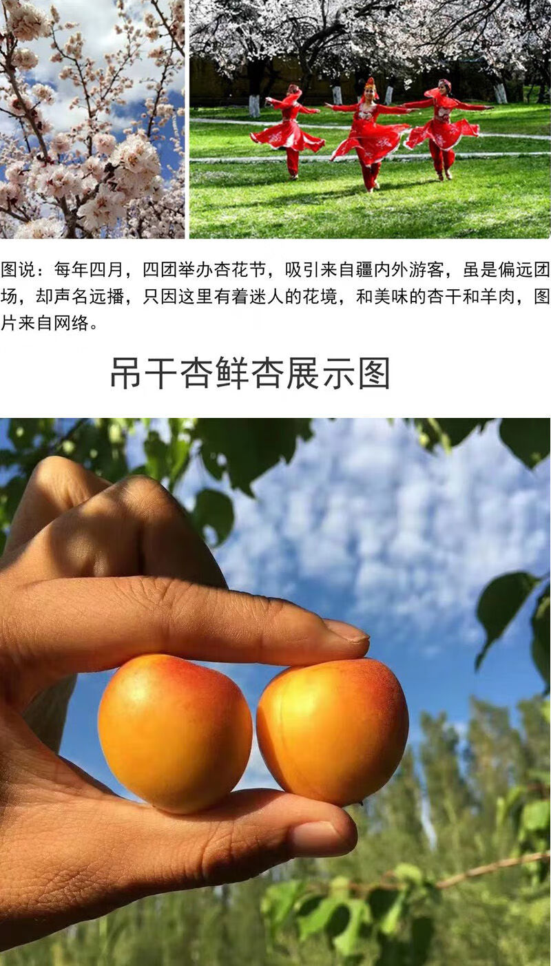 新疆吊干杏四团杏干杏仁特级原味天然500g农家天然杏子二级杏干500g包