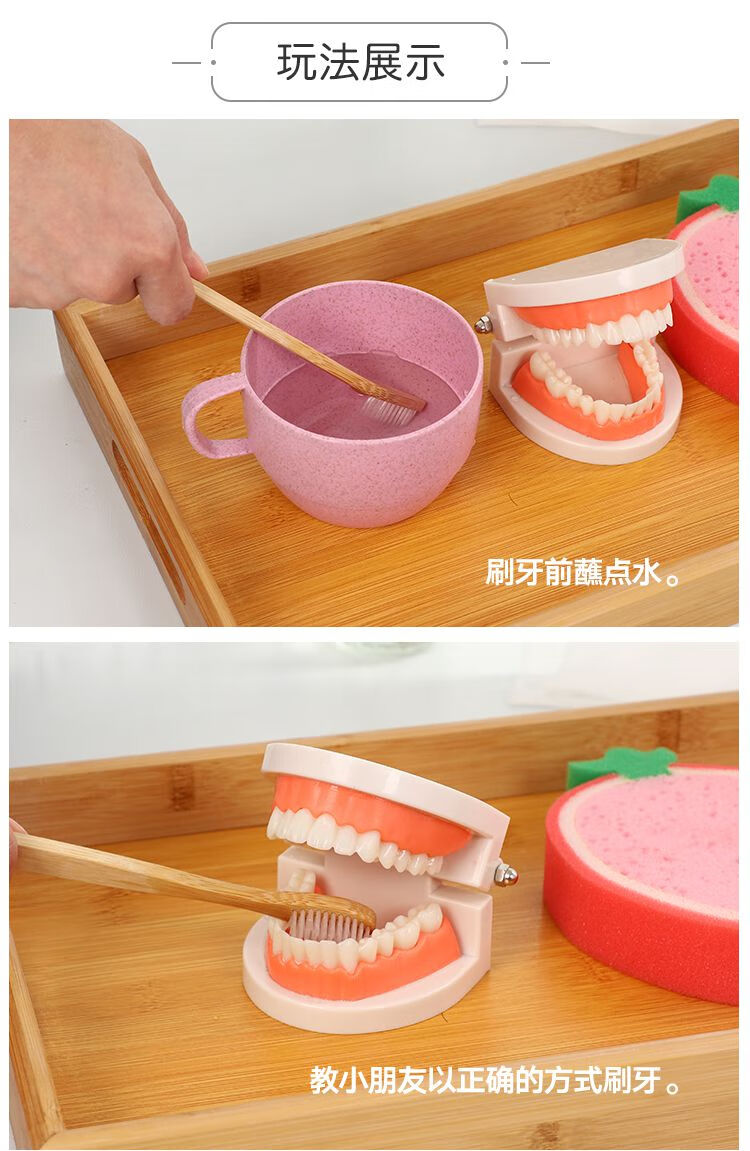 儿童教具牙刷洗漱套装早教玩具假牙牙模型幼儿园认知牙齿刷牙套装男孩