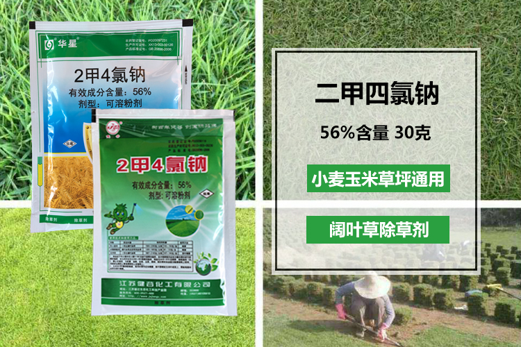 二甲四氯钠2甲4氯钠专杀阔叶草小麦玉米水稻草坪除草剂 30g