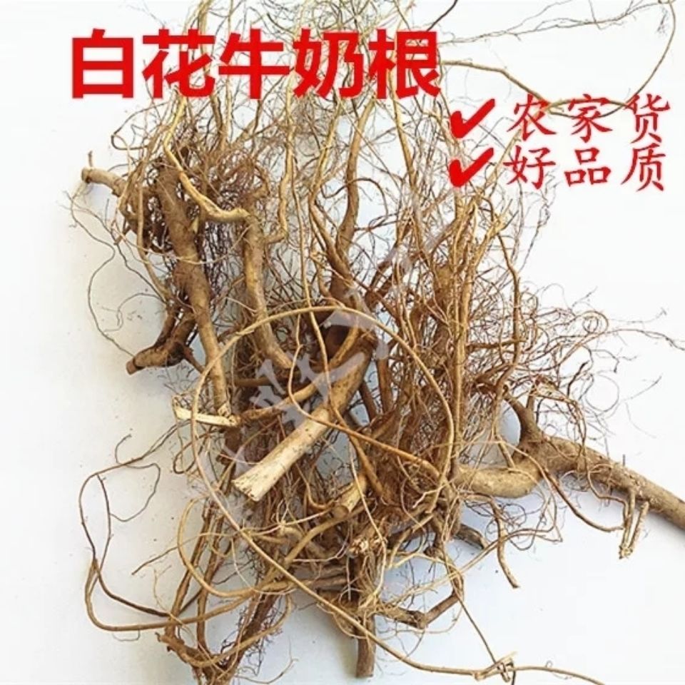 有仁堂福建特产煲汤料南靖客家白花牛奶子根牛乳树根500g500g