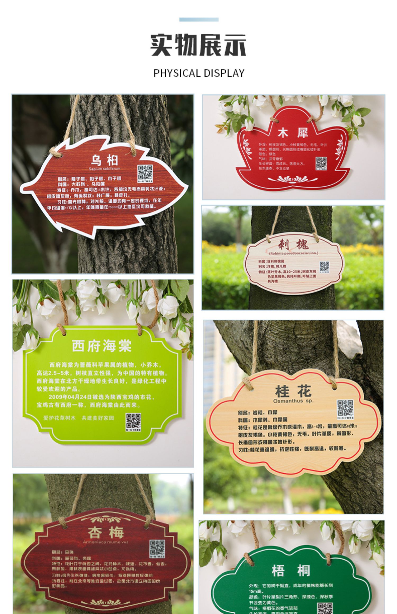 树牌挂牌学校公园不锈钢插地牌子植物绿化信息牌铭牌树木介绍标识牌