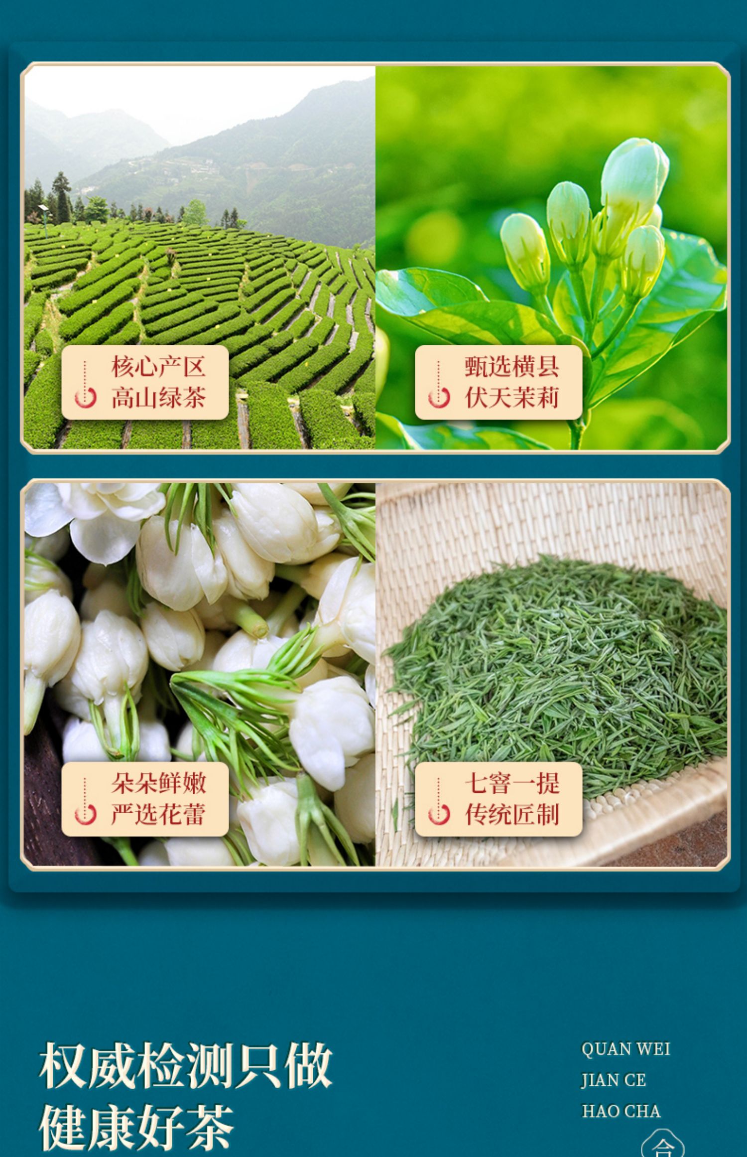 5折茶叶新茶上等绿茶茉莉花茶浓香型横县花茶罐装礼盒装125g