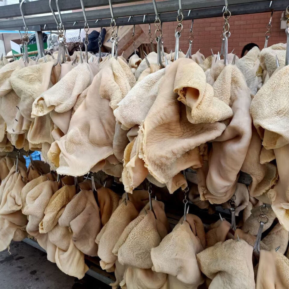 清真新鲜冷冻半成品牛肚牛胃牛杂非全熟火锅串食材整块黄牛肚批发牛肚