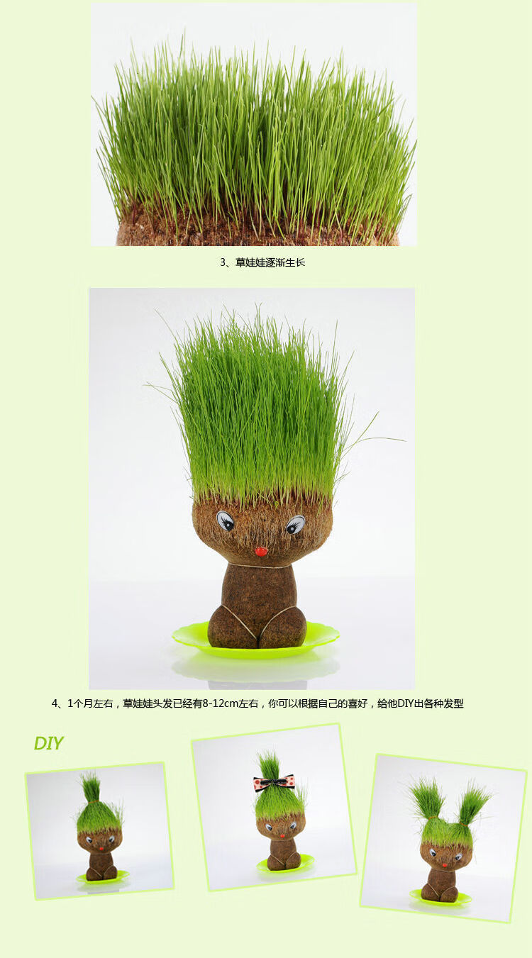 精品绿植diy办公室迷你植物绿色青草铜钱草桌面小盆栽草头娃娃情思草