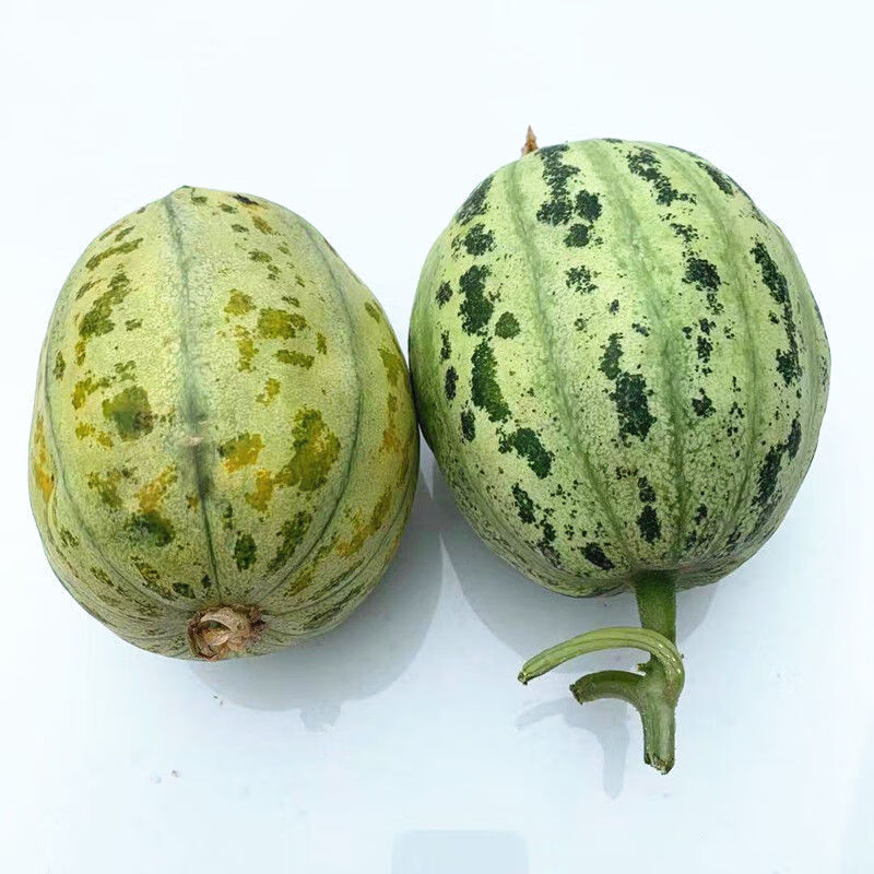 精选直发花皮香瓜15斤新鲜甜瓜水果怀旧香瓜花蕾香瓜八里香瓜冰糖子花