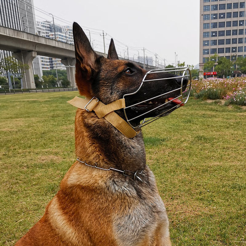 狗狗嘴套德牧马犬专用土狗口笼嘴罩拉布拉多哈士奇萨摩耶金毛虎雀新款
