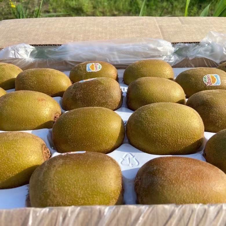 奇异果新西兰进口金果新鲜孕妇水果当季黄心猕猴桃意大利6个装单果