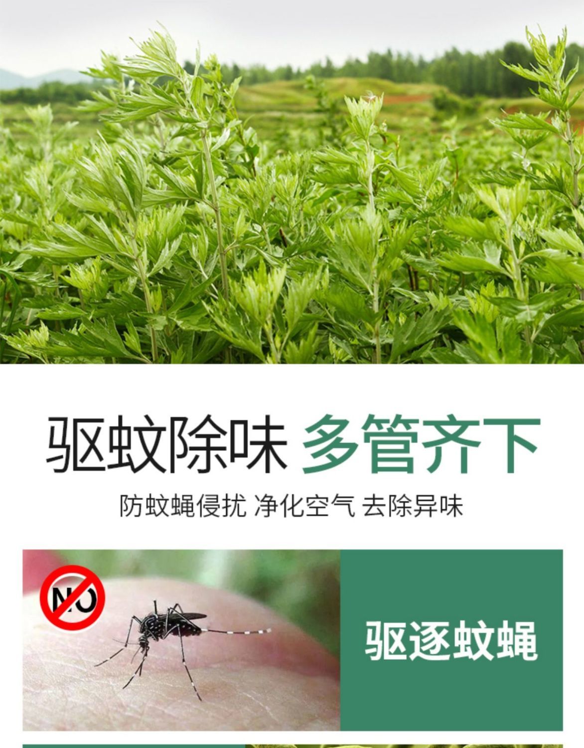 腾雅卓【精选直发】艾草熏香艾条家用室内纯艾批发熏消毒异味+底座支架 艾条【天然不呛鼻+艾草制作】 【10支】+底座1套