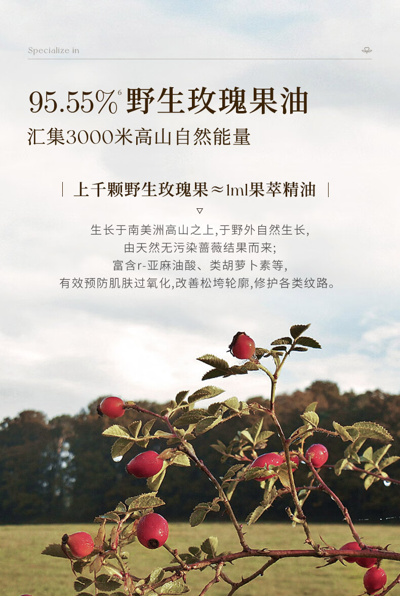 EXPRESSIONS新加坡进口玫瑰面部精油提拉紧致淡细纹保湿抗皱精华液提亮肤色