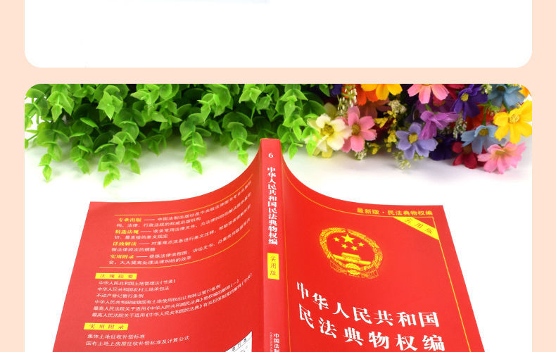 13，物業琯理條例+物權法2023年新版民法典物權編司法解釋案例 民法典物權編：原物權法 含注釋和案例