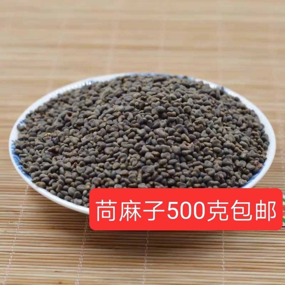 中药材新货苘麻子500克别名青麻子野棉花子白麻5g小馒头苘麻子500克